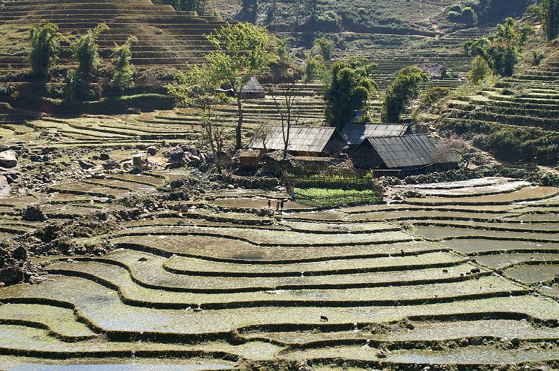 Sapa 14.JPG
